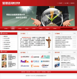 管理咨询企业网站建设
