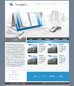 房地产开发公司商务网站建设