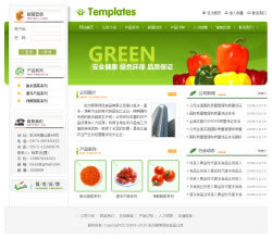 绿色食品公司网站建设