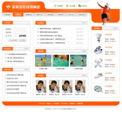 羽毛球网站建设