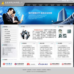 企业管理咨询公司网站建设